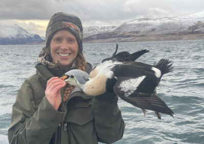 Guest with King Eider