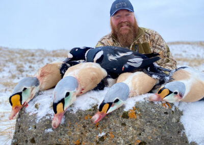 King Eider Hunting St. Paul Island Alaska